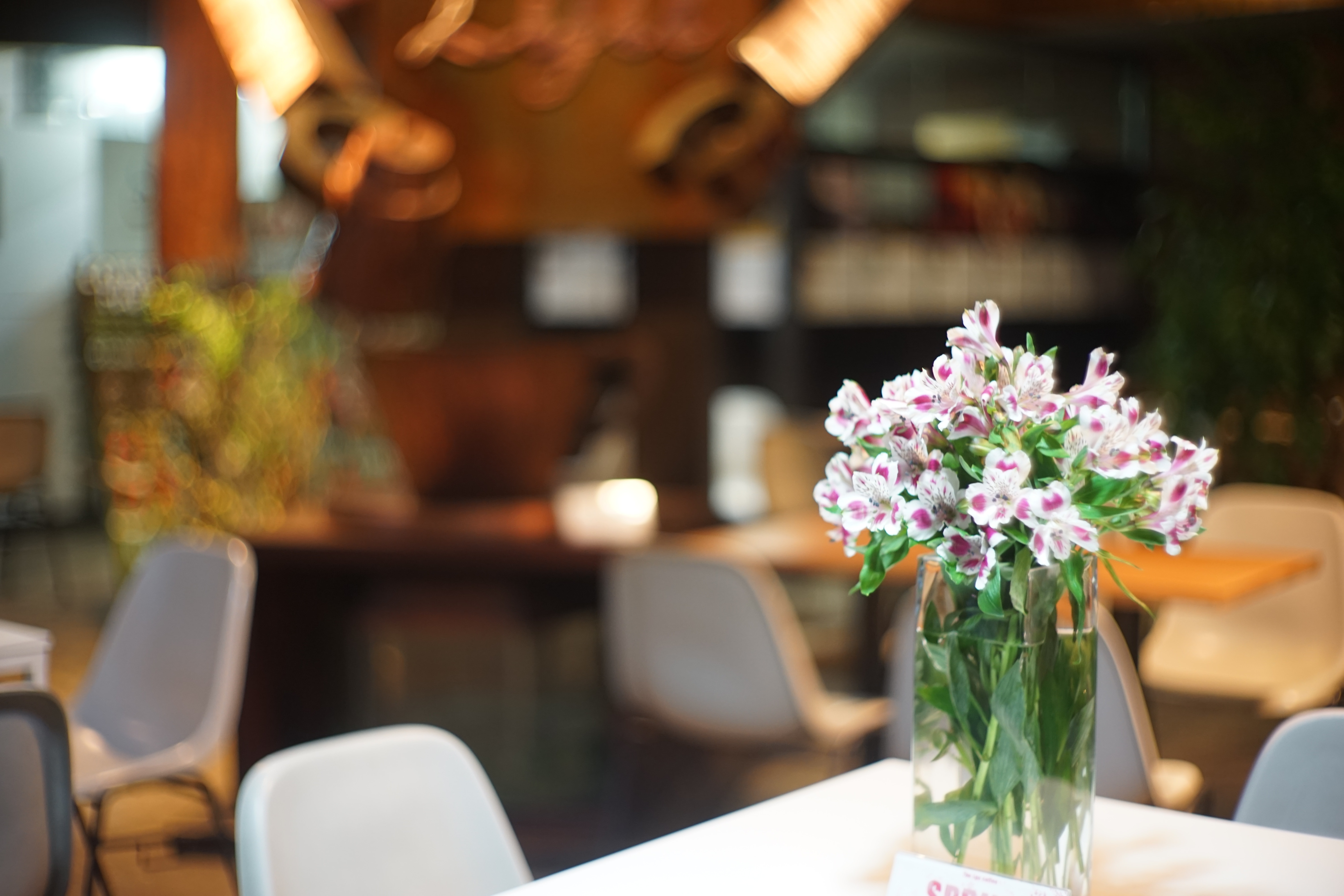 Cafe, Flowers, Still Life, flower, vase