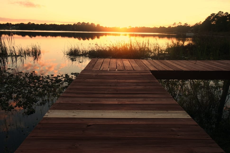 brown wooden pier preview