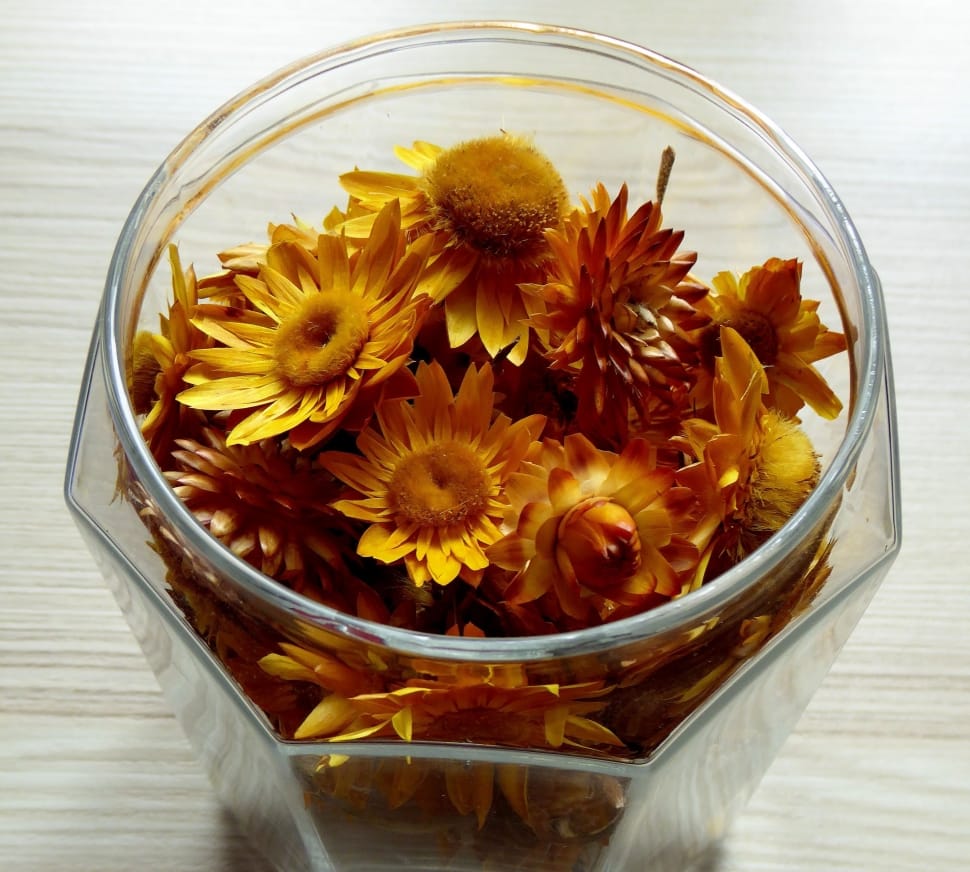 Dried Flowers, Flowers, Colorful, Glass, indoors, high angle view preview