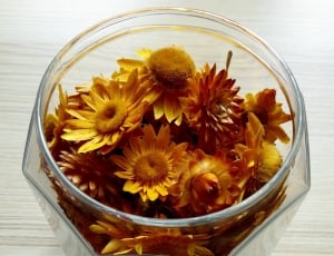 Dried Flowers, Flowers, Colorful, Glass, indoors, high angle view thumbnail