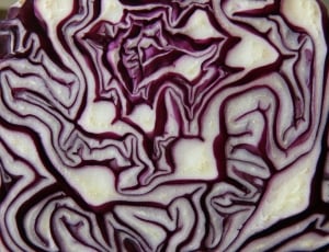purple cabbage sliced in the middle thumbnail