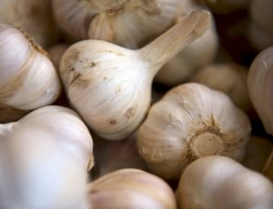 white garlic's thumbnail