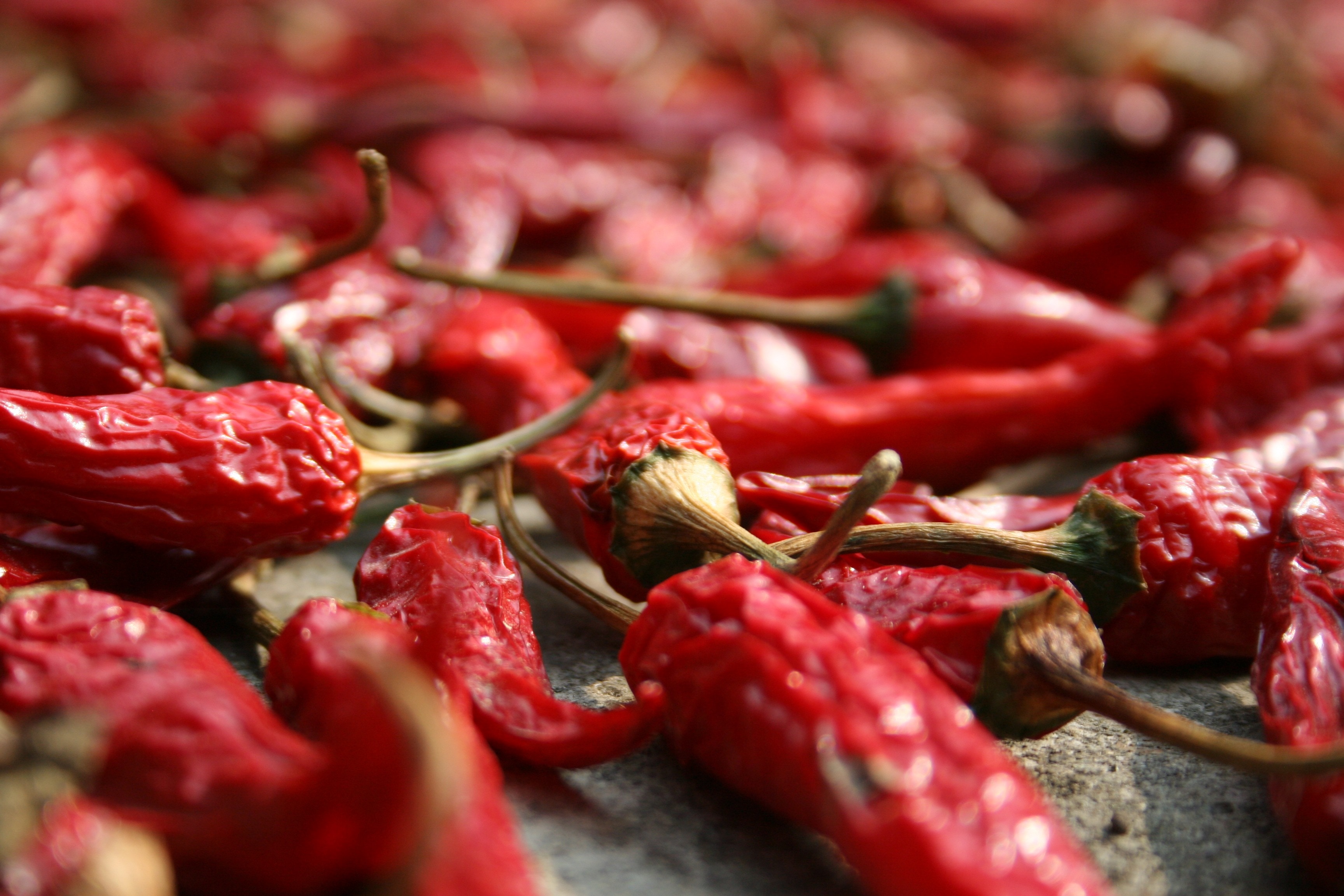 red chili peper lot