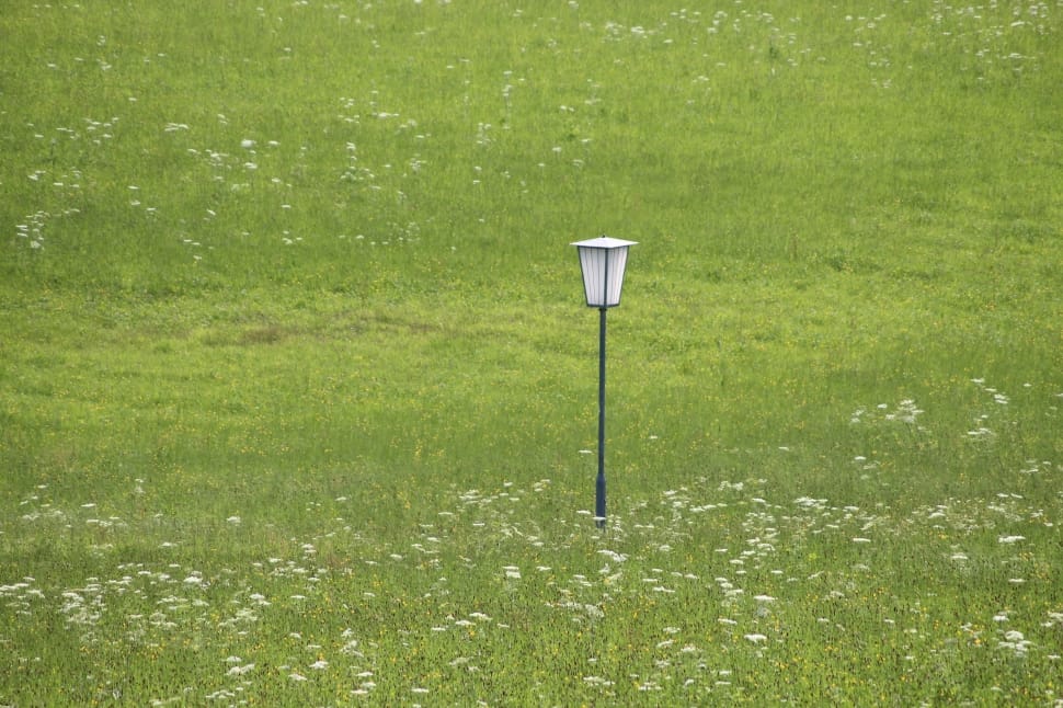 white and black post lamp preview