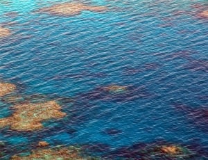 photo of blue ocean thumbnail