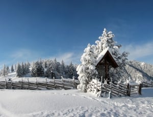snow covered house thumbnail