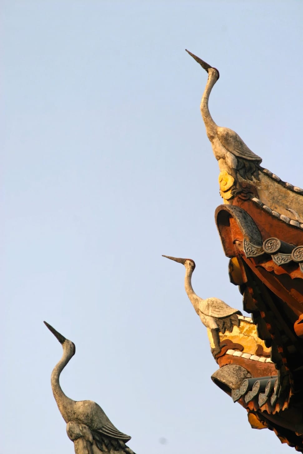 three crane birds looking above temple statues on day light preview