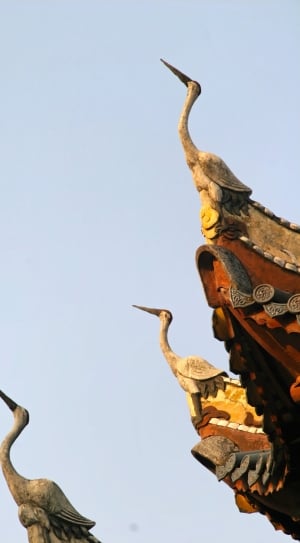three crane birds looking above temple statues on day light thumbnail