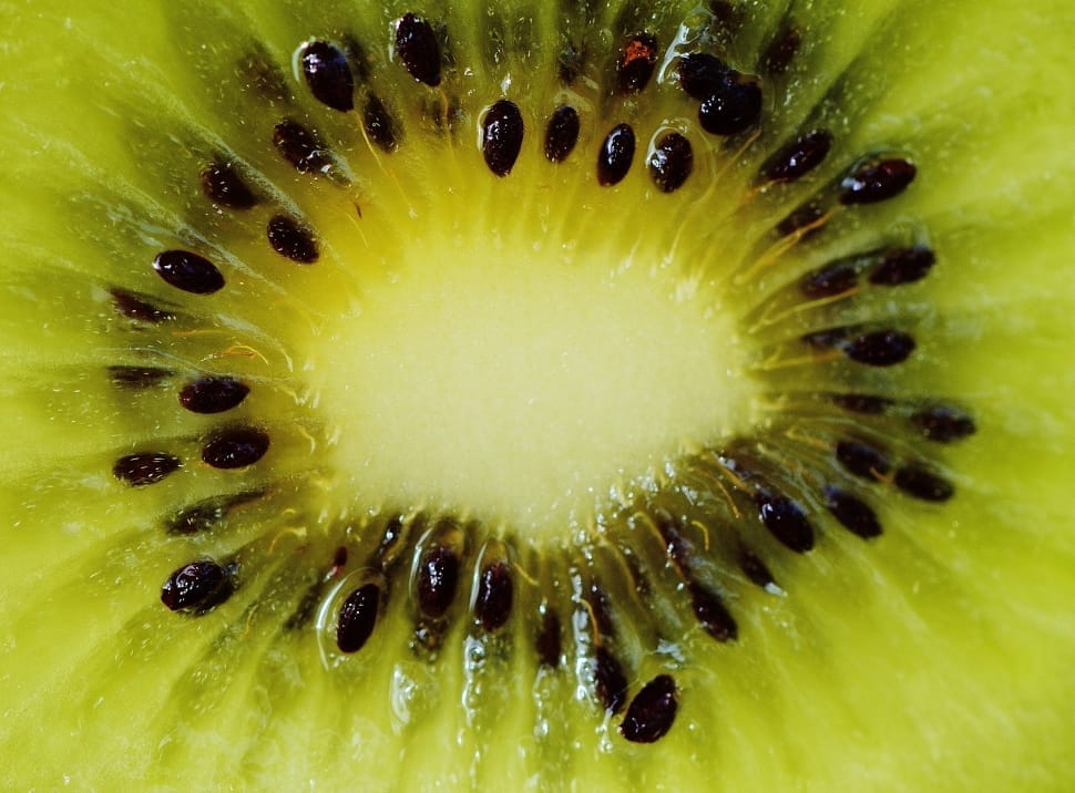 Kiwi, Fruit, Healthy, Vitamins, Food, fruit, kiwi - fruit preview