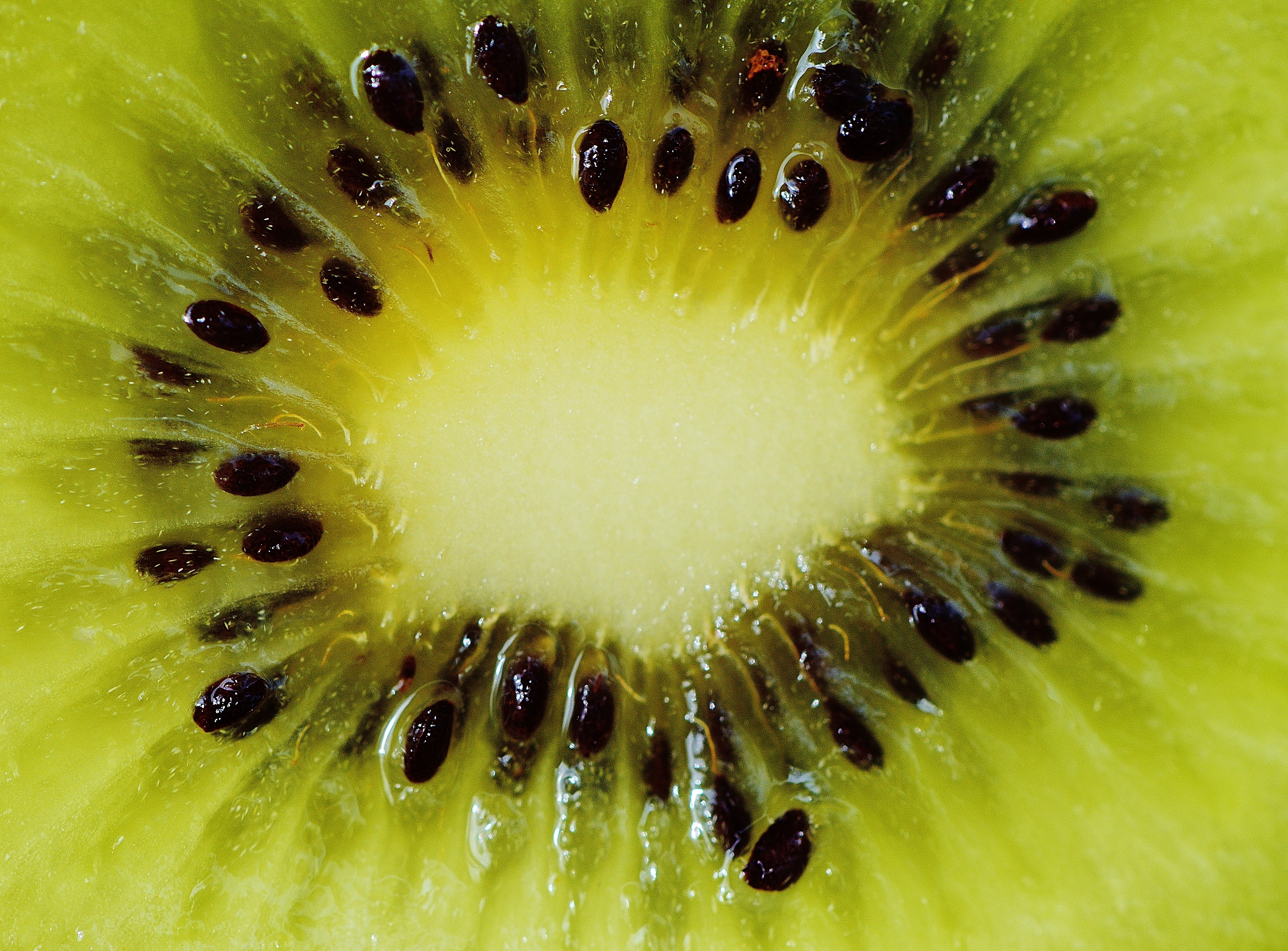 Kiwi, Fruit, Healthy, Vitamins, Food, fruit, kiwi - fruit