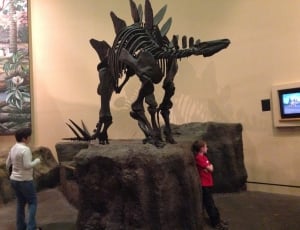 black dinosaur skeleton thumbnail