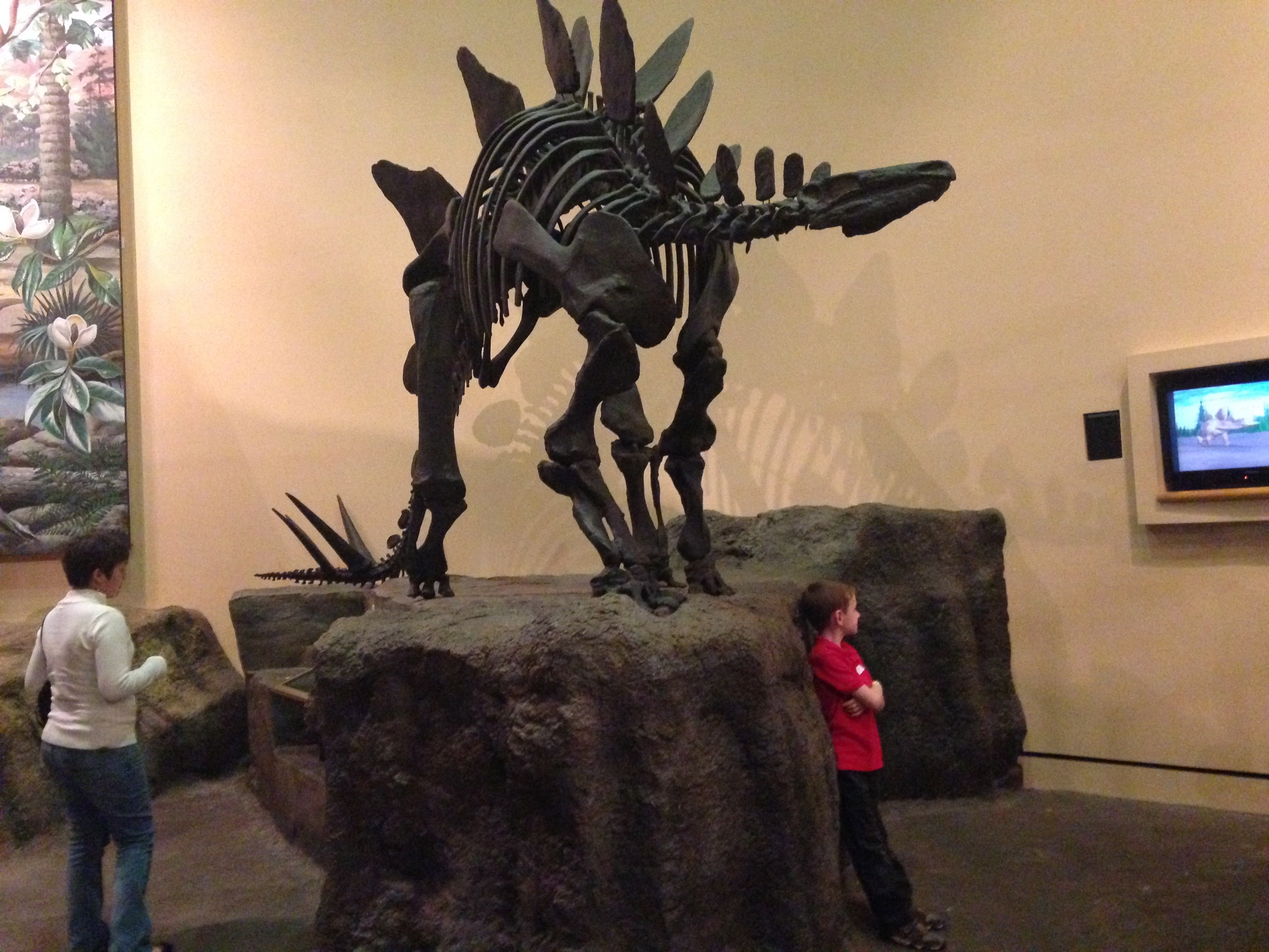 black dinosaur skeleton