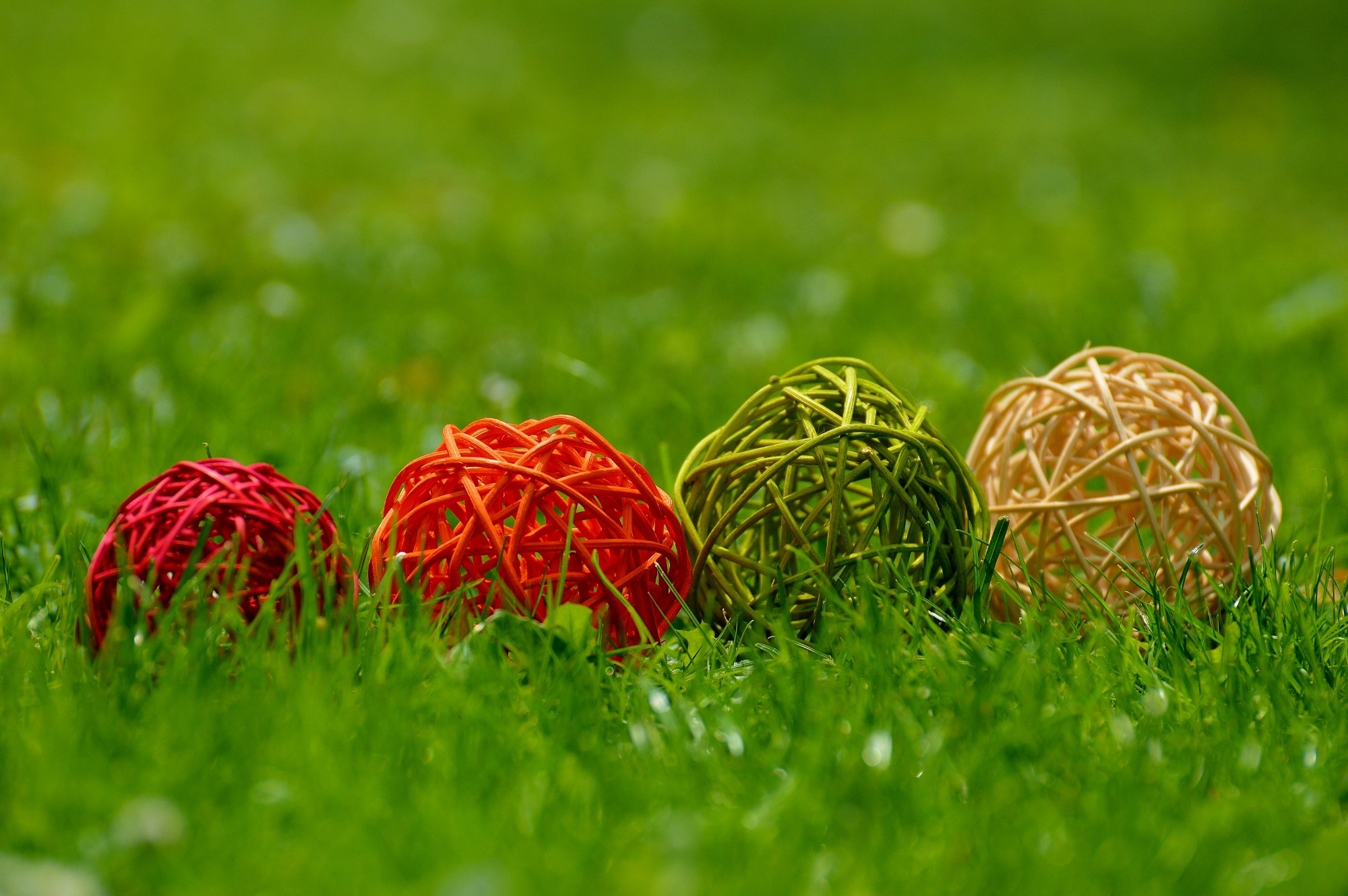 Balls, Decoration, Colorful, Wood, grass, green color