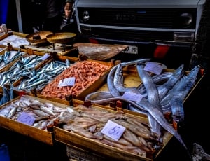 bunch of fish on brown wooden containers thumbnail