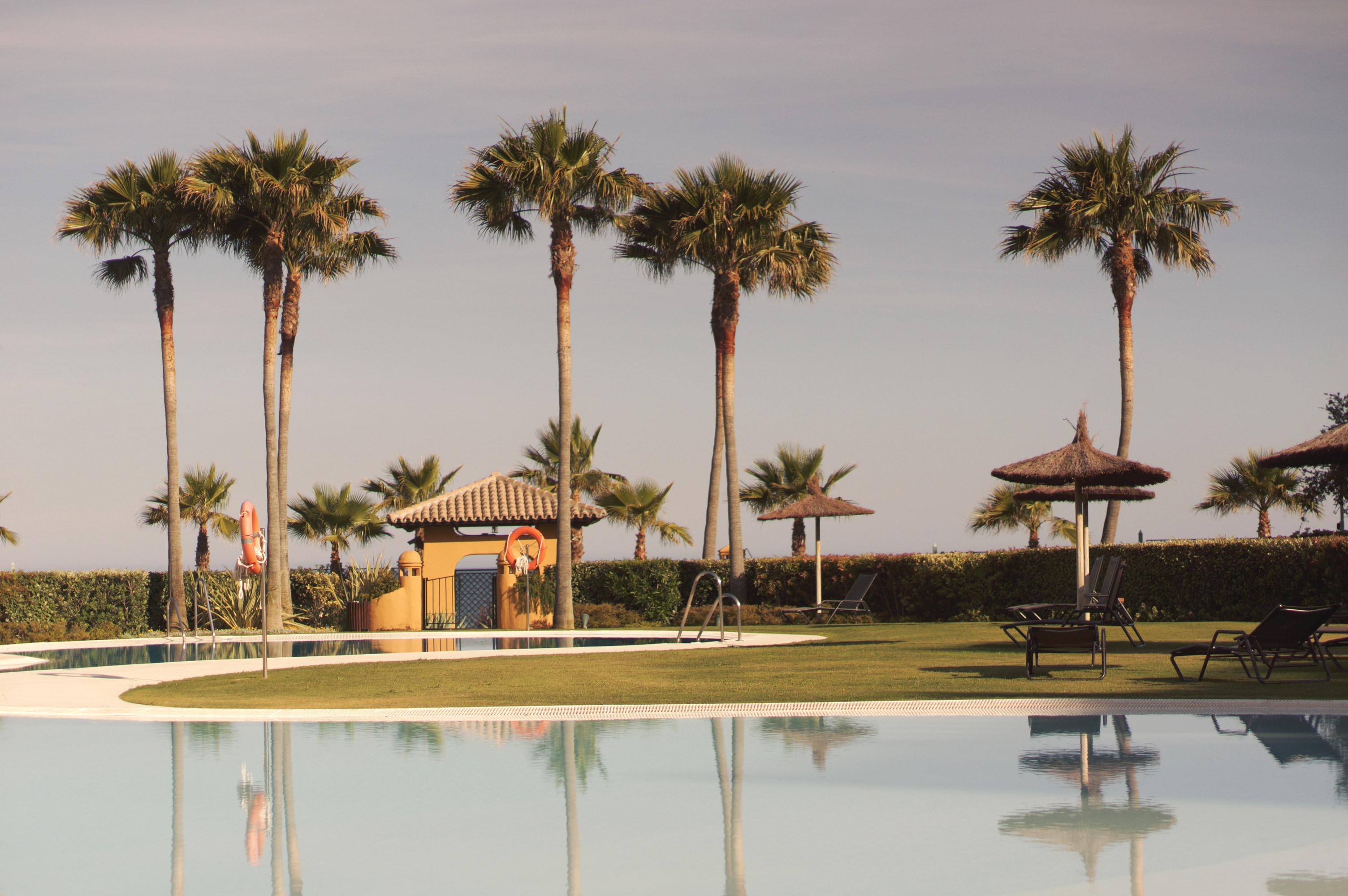 swimming pool beside coconut trees during daytime