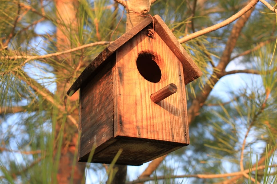 brown wooden bird house preview
