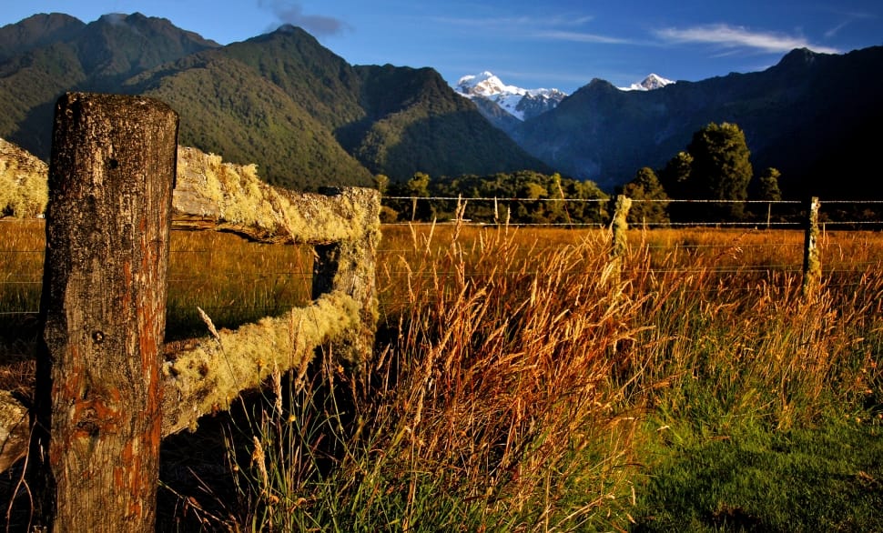 A rural sunset in New Zealand preview