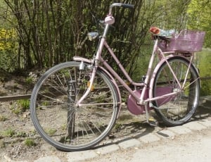 pink city bicycle thumbnail