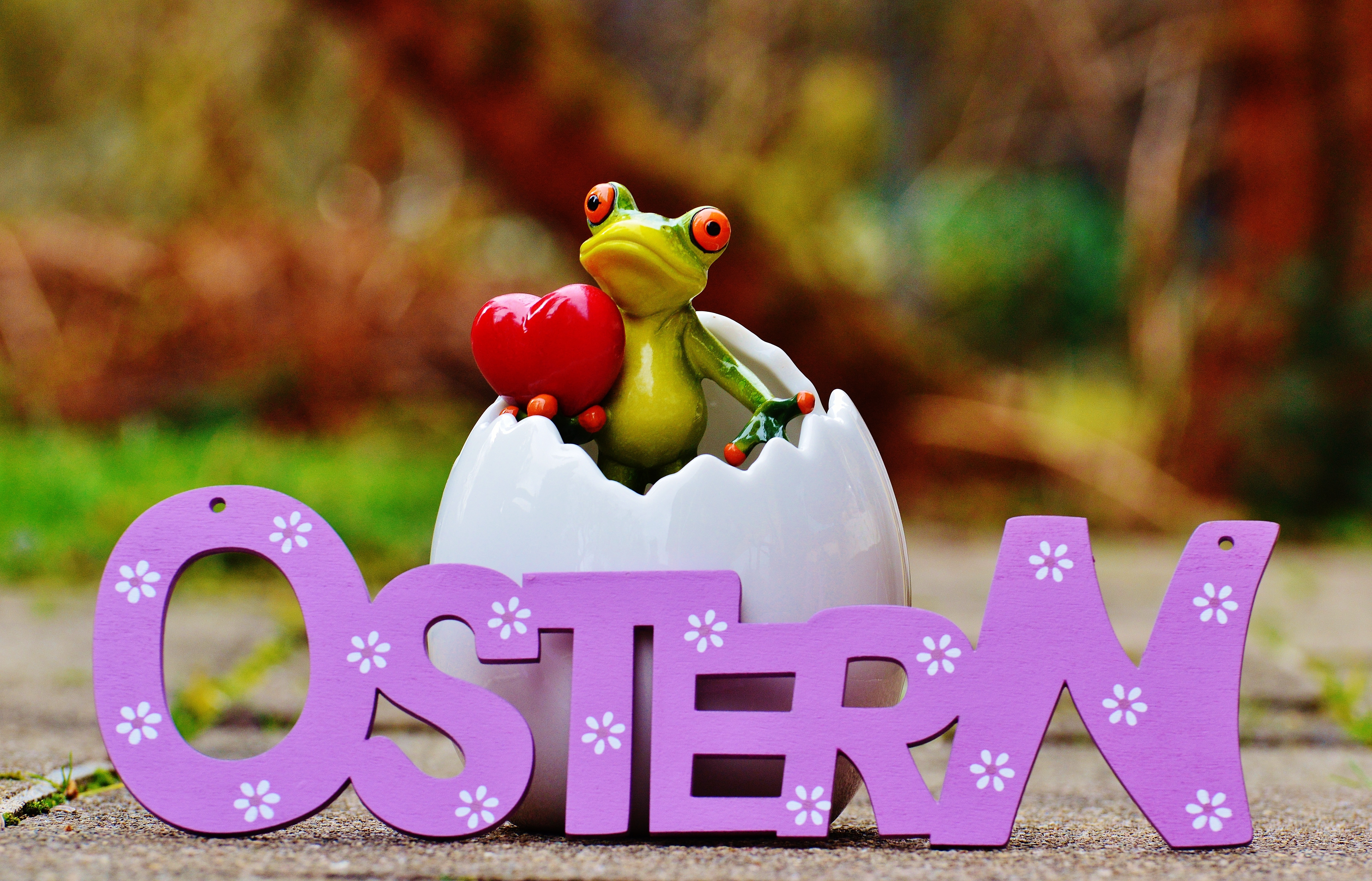 tree frog on eggshell ostern freestanding letter