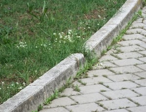 Stone, Patch, Grey, Walk, Pavement, grass, agriculture thumbnail
