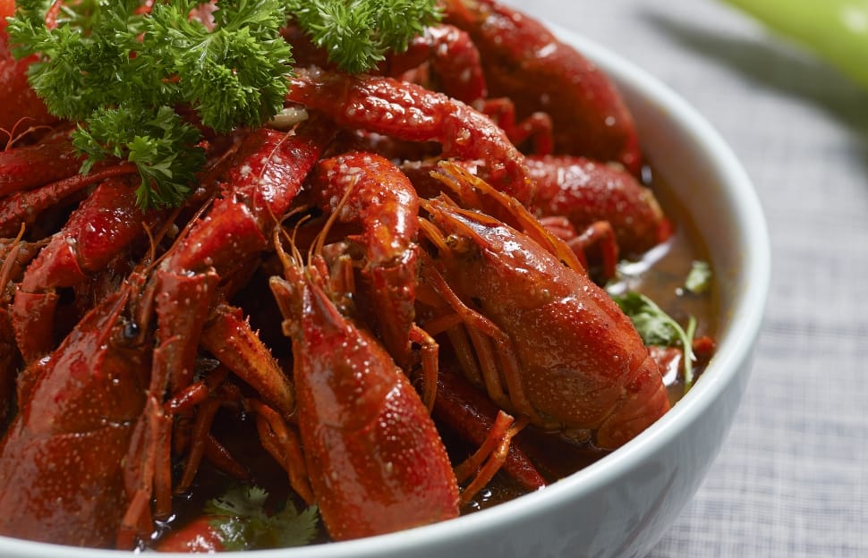 shrimp with vegetable preview