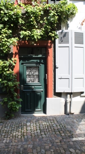 green wooden door thumbnail