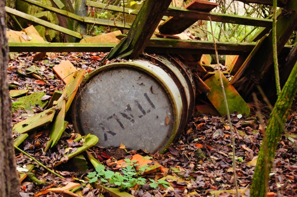 Lapsed, Pollution, Barrel, Old, Nature, no people, leaf preview