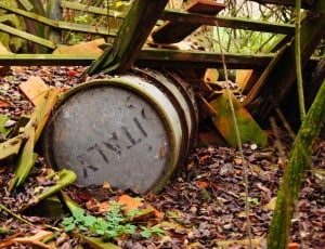 Lapsed, Pollution, Barrel, Old, Nature, no people, leaf thumbnail