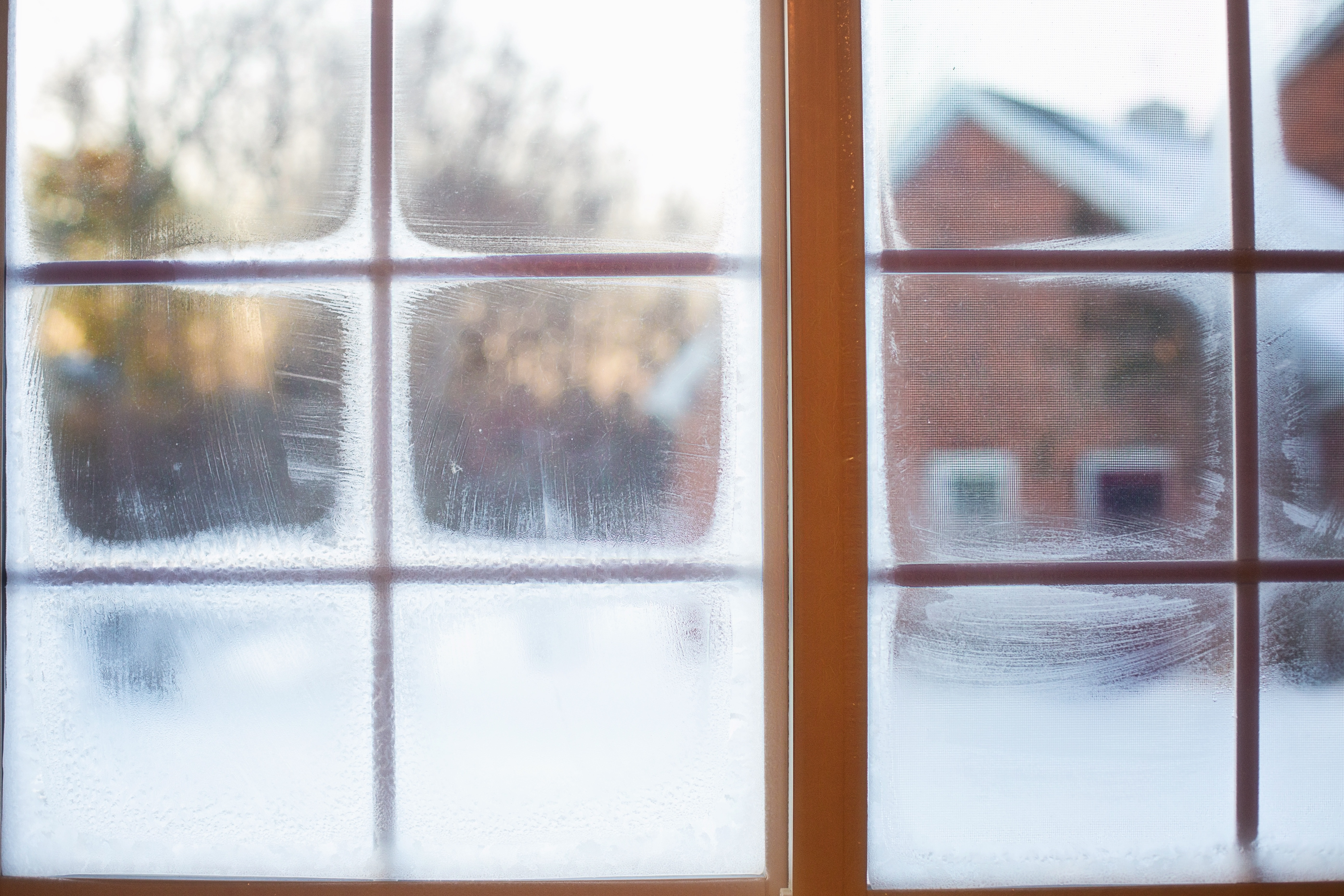 Ice, Winter, Cold, Frost On Window, window, winter