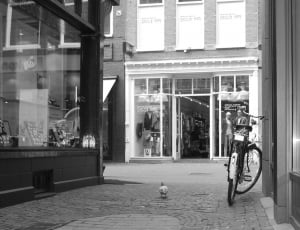 black bicycle and white pigeon thumbnail