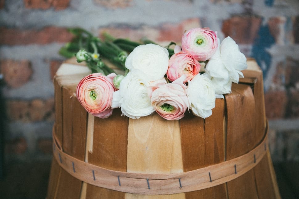 selective focus photo of white and pink petaled flowers on top of barrel preview