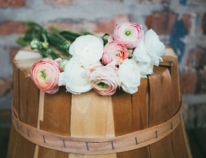 selective focus photo of white and pink petaled flowers on top of barrel thumbnail