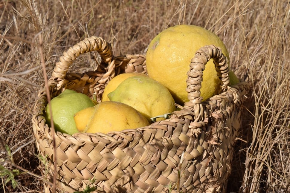 round yellow and green fruits on brown wicket basket preview