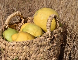 round yellow and green fruits on brown wicket basket thumbnail
