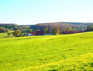 Reported, Swabian Alb, Fields, field, agriculture thumbnail