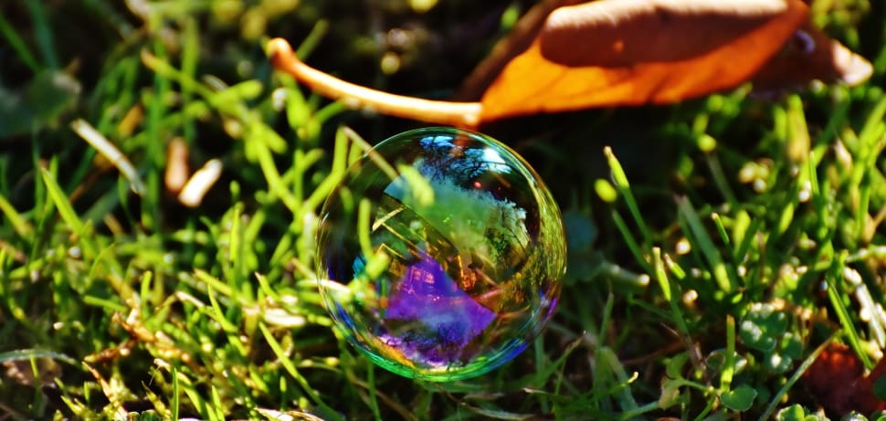 bubbles and grass preview
