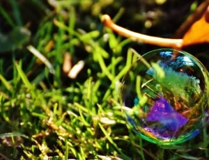 bubbles and grass thumbnail
