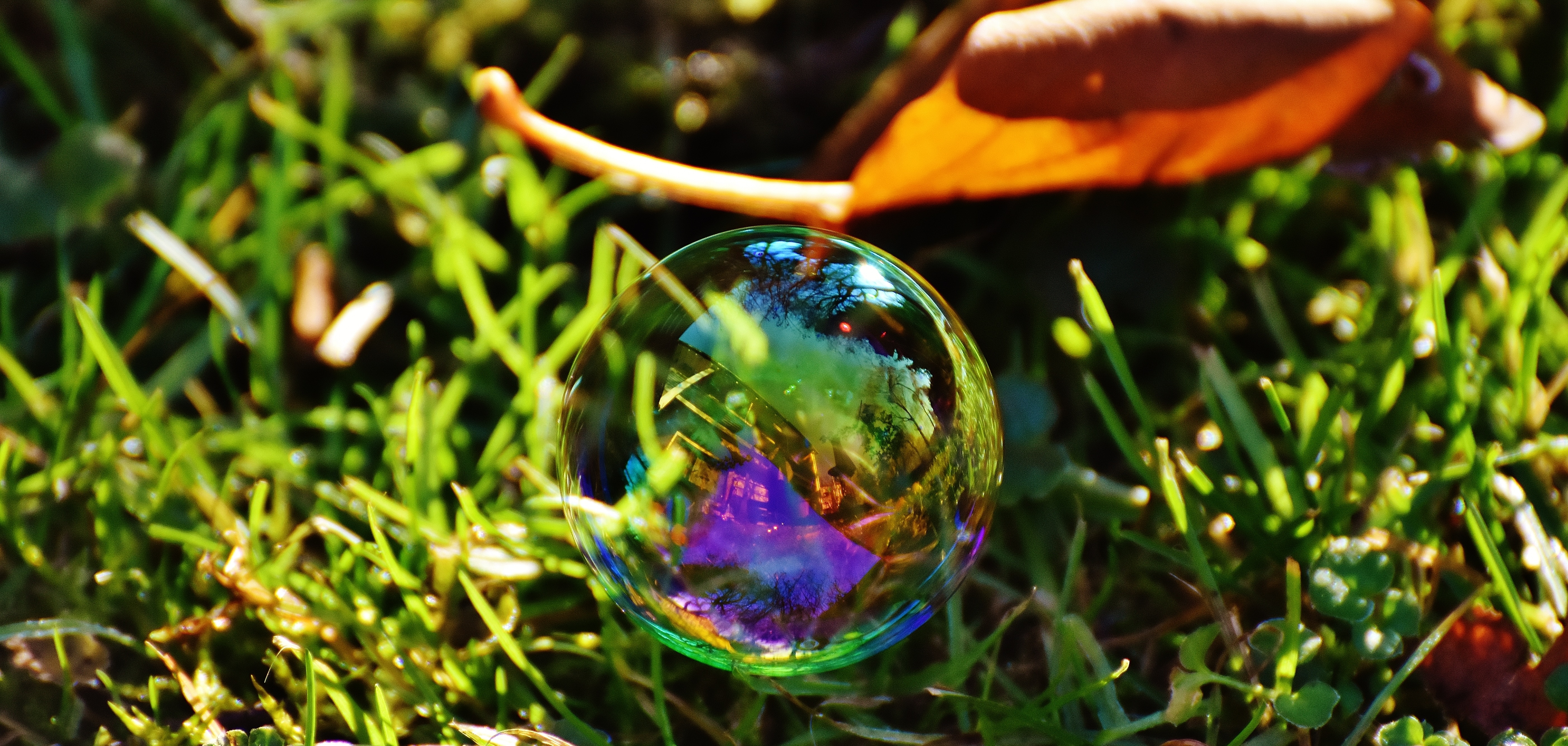 bubbles and grass