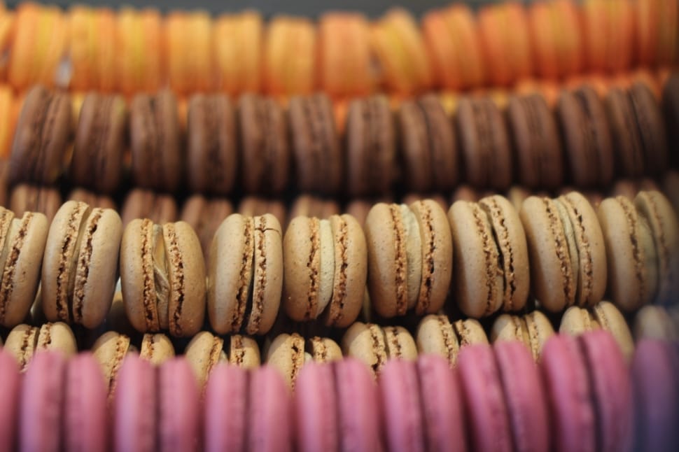 French, Macarons, Bakery, Dessert, food and drink, close-up preview