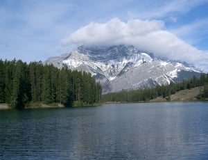 white mountain with green pine tree near lake during day time thumbnail