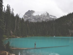 man in open body of water and trees and snowed mountain view photo thumbnail