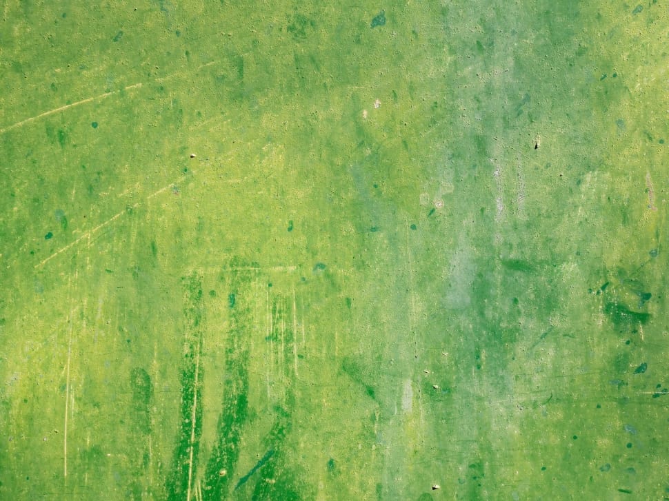 green abstract painting preview