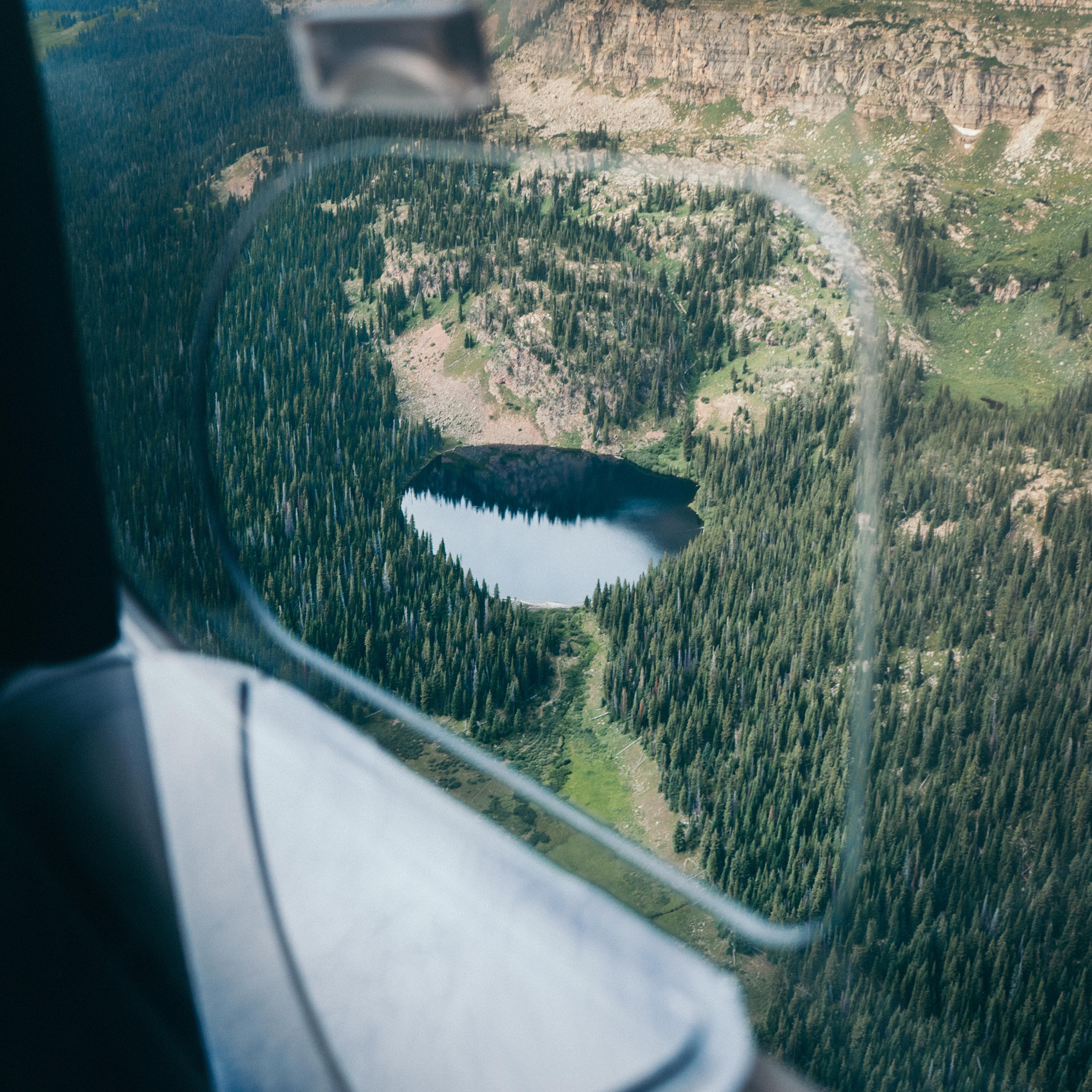 aircraft window view photography of body of water surround bed forest trees during daytime