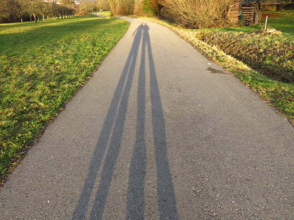 shadow of two person walking on gray road between green grasses during daytime preview