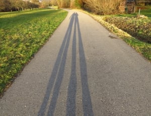 shadow of two person walking on gray road between green grasses during daytime thumbnail