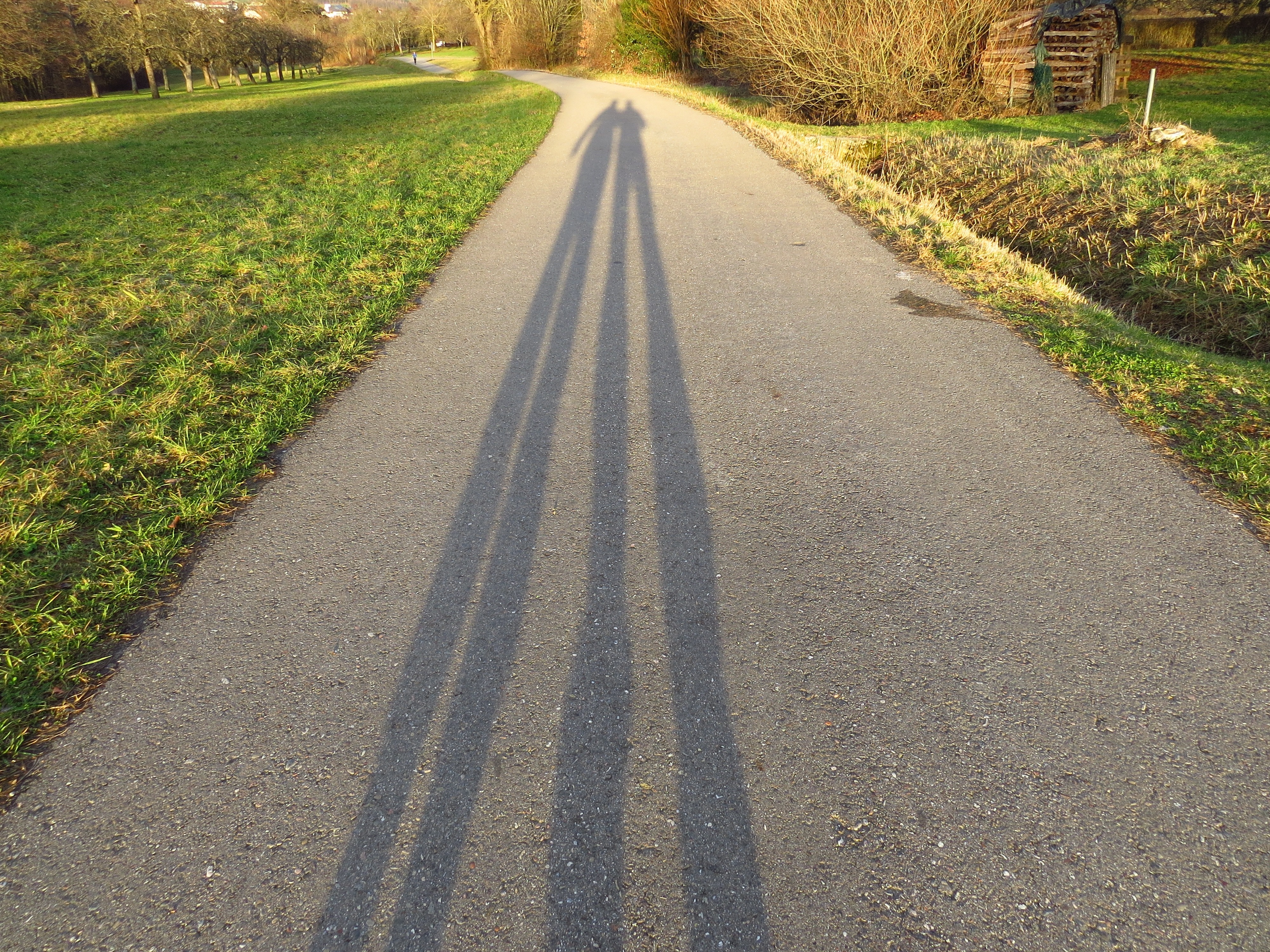 shadow of two person walking on gray road between green grasses during daytime