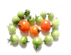 green and orange tomatoes thumbnail
