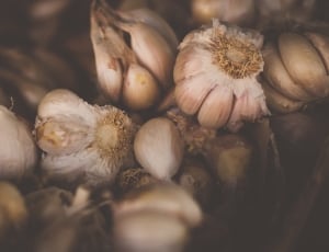 photgraph of garlic cloves thumbnail