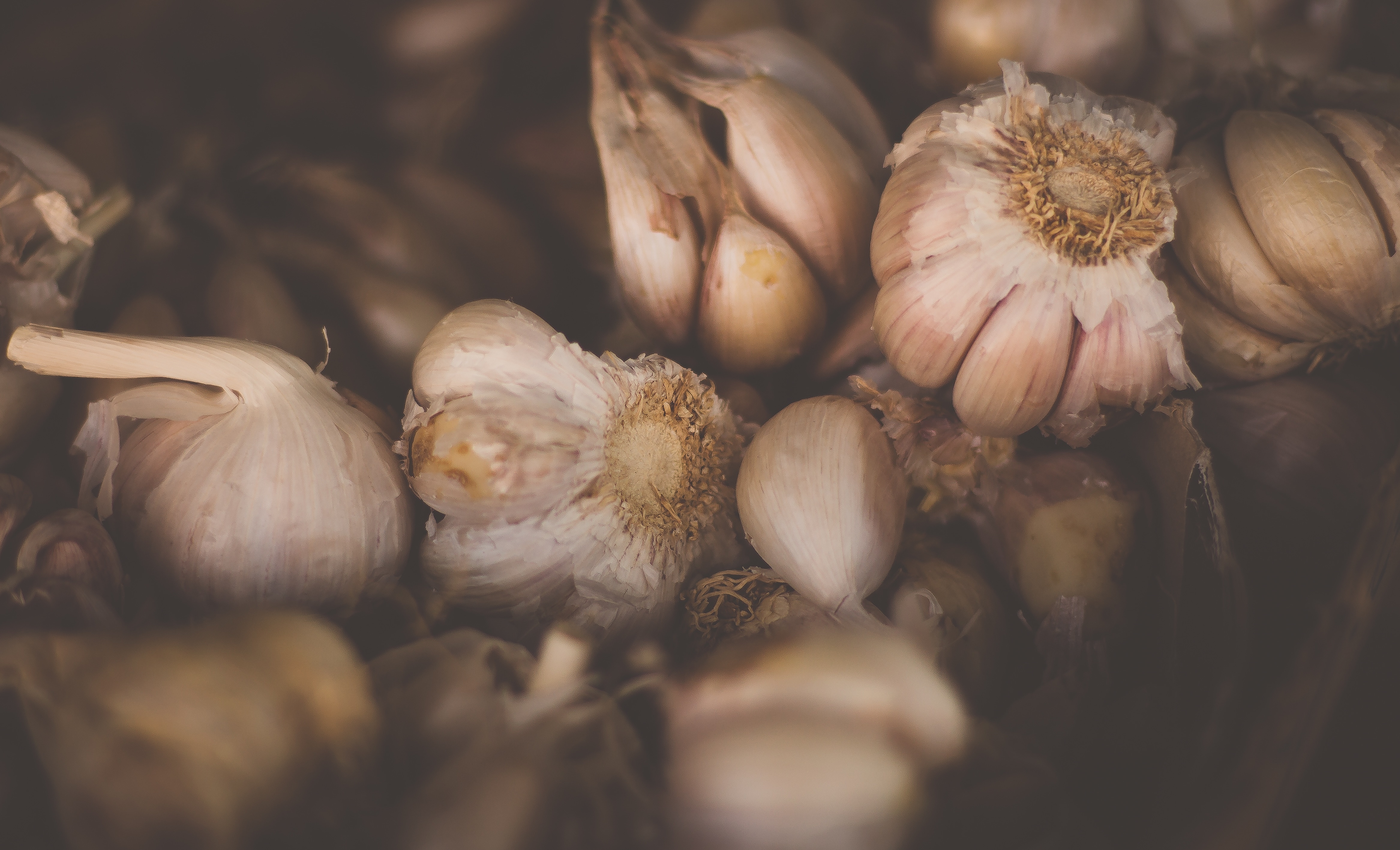 photgraph of garlic cloves