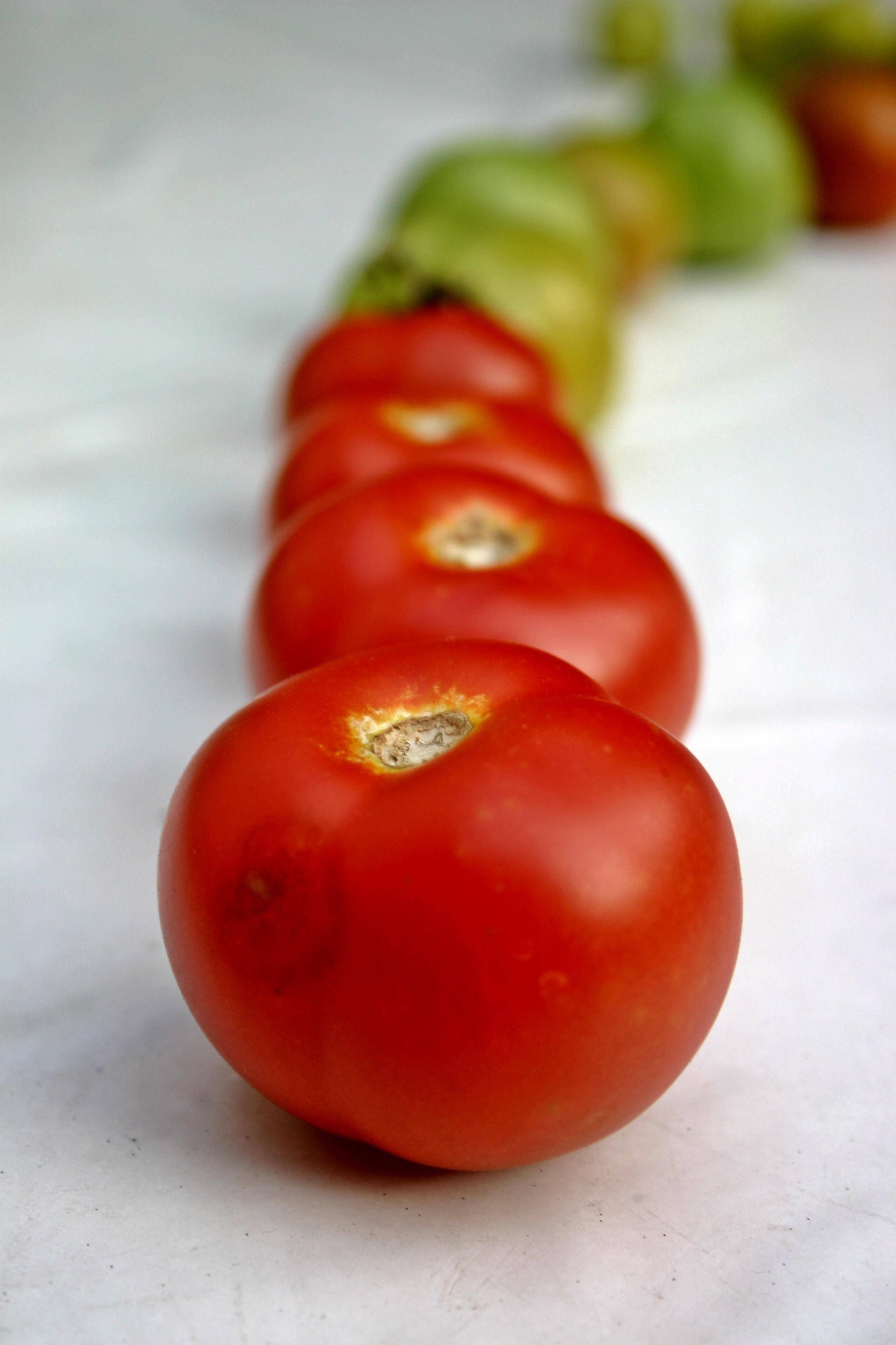 red tomato fruit